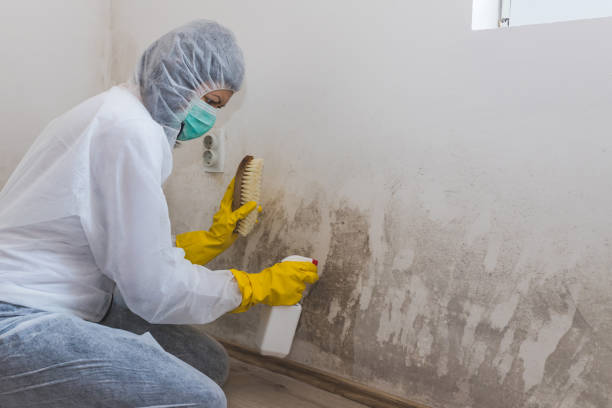 Best Certified Mold Removal  in Skiato, OK