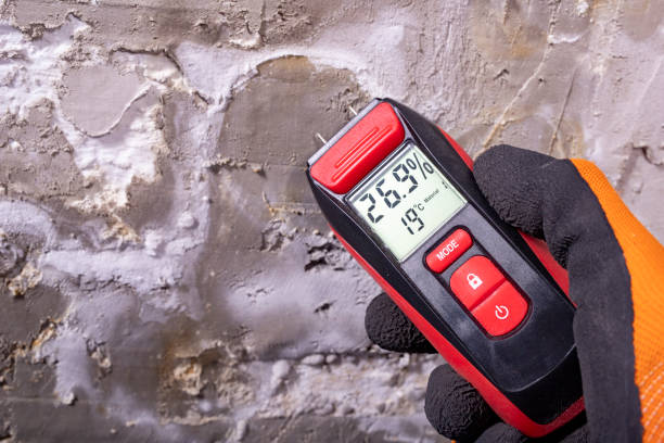 Best Toxic Mold Removal  in Skiato, OK