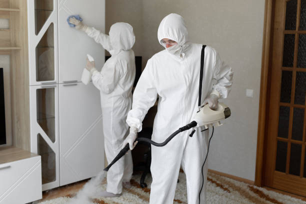 Best Local Mold Removal Service  in Skiato, OK