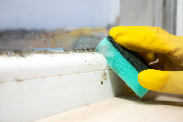 Best Residential Mold Removal  in Skiato, OK