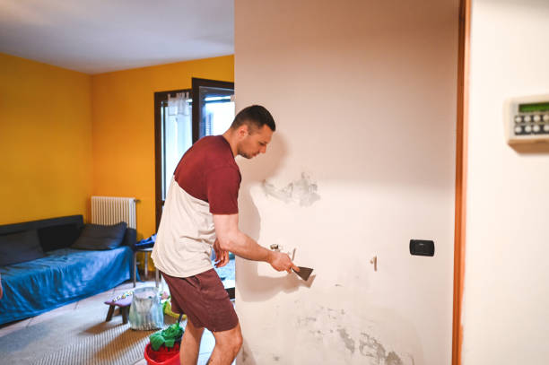 Best Same-Day Mold Removal  in Skiato, OK