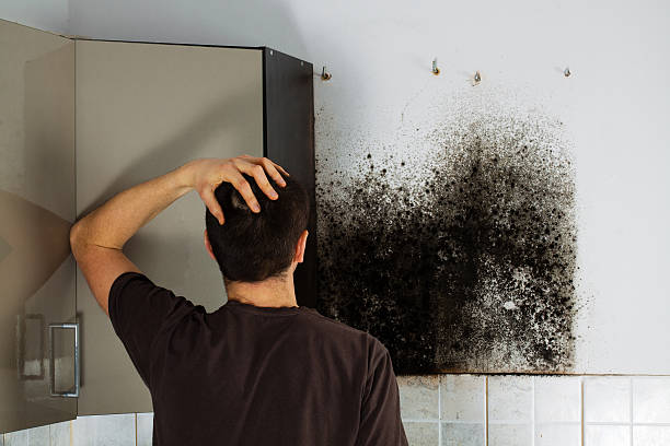 Best Emergency Mold Removal  in Skiato, OK