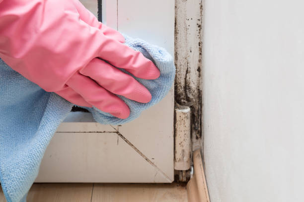 Best Mold Testing  in Skiato, OK